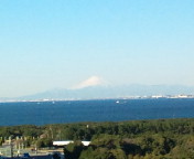20100207083315.jpg
