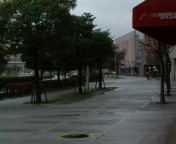 20100307102949.jpg