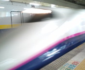 20100312182317.jpg