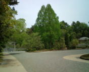 20100504102436.jpg