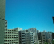 20100527104127.jpg