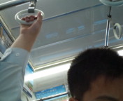 20100605183206.jpg