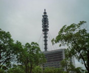 20100614091115.jpg