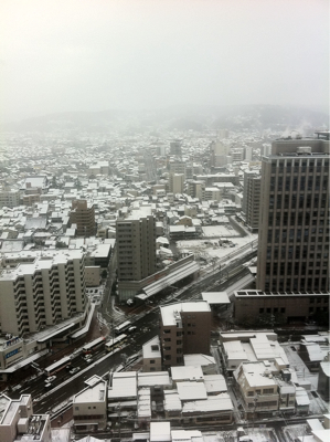 朝起きたら雪景色