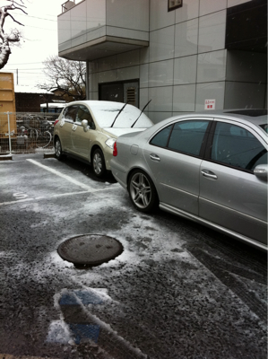 バーチーも雪