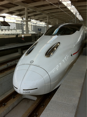 さくら312号(祝  初九州新幹線)