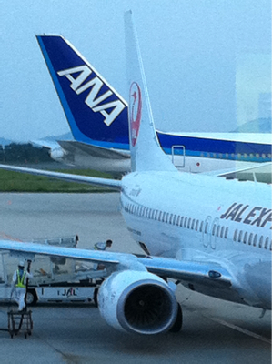 JA339J(初めての復活鶴丸JAL)