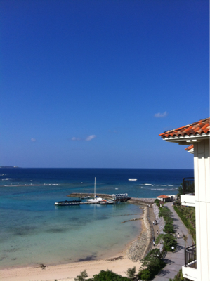 今朝は絶好の海水浴日和