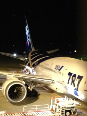 Welcome B787-8