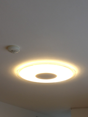 LEDに取り替えた