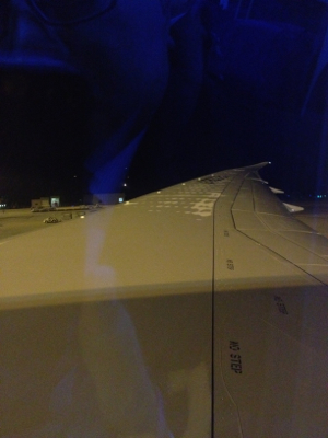 B787-8 主翼