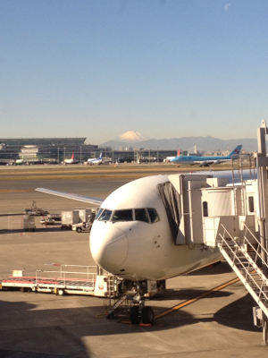 JA8365 〜 B767-300 〜