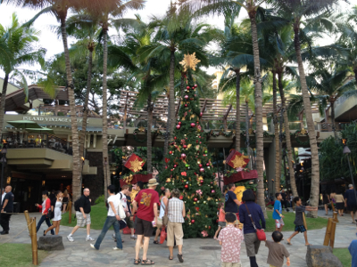 南国のクリスマスツリー