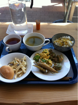 山口湯田温泉な昼ごはん