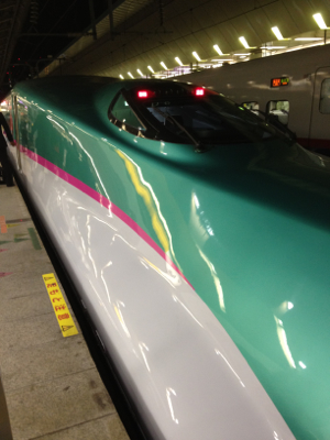 はやぶさ5号 〜E5が並ぶ風景はかなりレアでないかな〜
