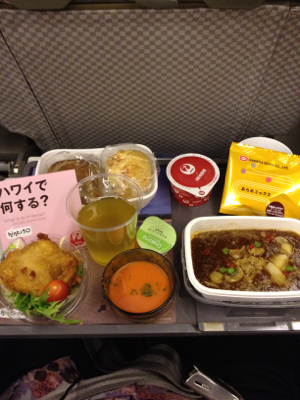 高度10,800メートルな夜食？