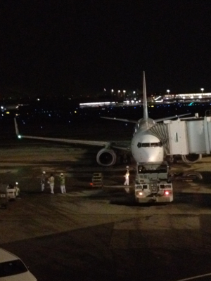 JA311J 〜 B737-800 〜