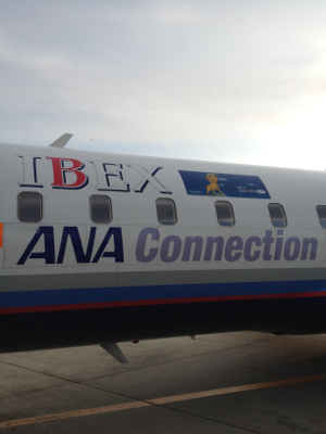 JA04RJ 〜CRJ-100〜