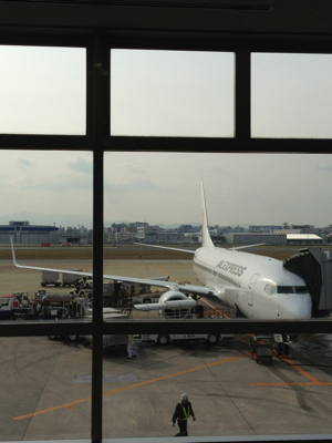 JA339J 〜 B737-800 〜