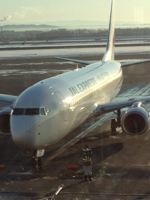 JA337J 〜 B737-800 〜