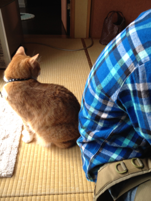 仲人さん宅へのご挨拶 仲人さん宅へのご挨拶