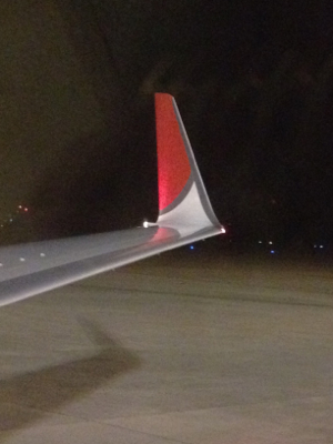 JA314J 〜 B737-800 〜