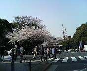 靖国神社