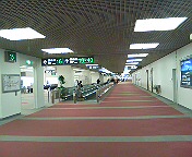 昼間の羽田空港