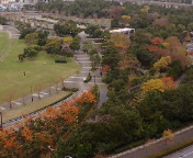 海浜幕張の紅葉