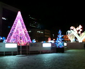 札幌大通り公園のイルミネーション