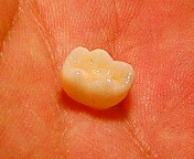歯歯歯